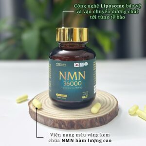 Alternative view of NMN 36000