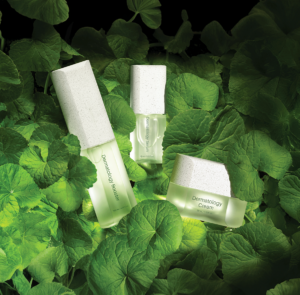 BỘ 3 DƯỠNG INCELLDERM MỚI