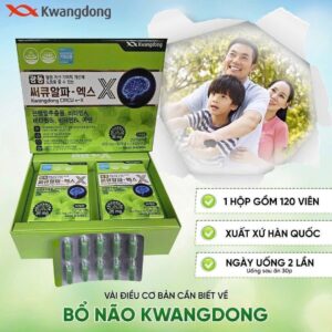 Alternative view of BỔ NÃO KWANGDONG