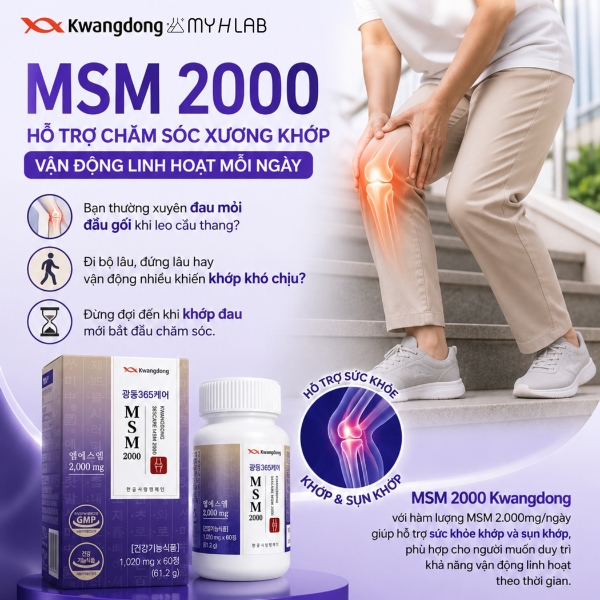 MSM 2000 KWANGDONG (2+1) - Ảnh 2